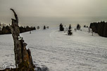 2012-03-03