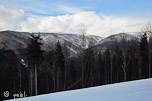 2012-04-08
